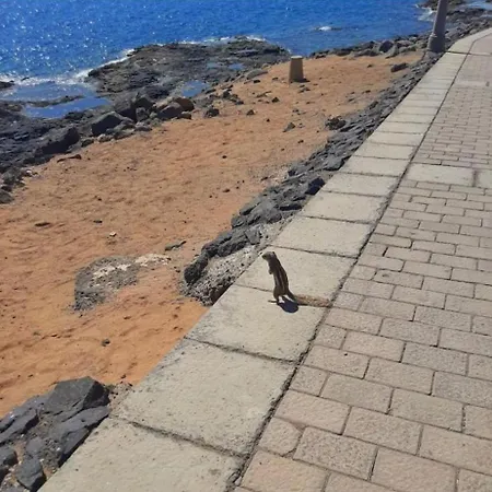 106 Torres Del Castillo, Fuerteventura شقة كوستا دي أنتيجوا
