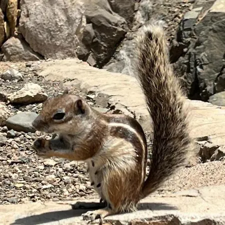 شقة 106 Torres Del Castillo, Fuerteventura *