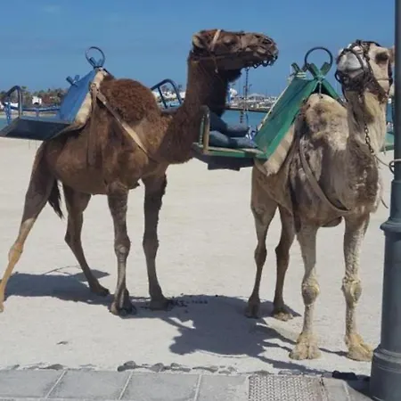 Apartman 106 Torres Del Castillo, Fuerteventura Costa de Antigua