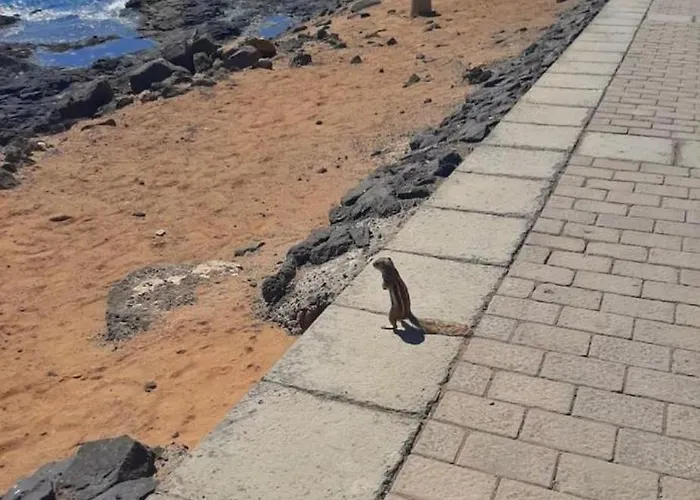 106 Torres Del Castillo, Fuerteventura شقة كوستا دي أنتيجوا
